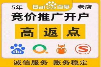 精准营销：百度推广平台的成功案例解析